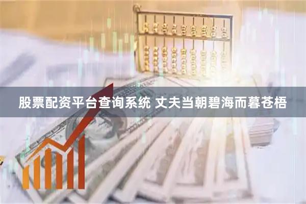 股票配资平台查询系统 丈夫当朝碧海而暮苍梧